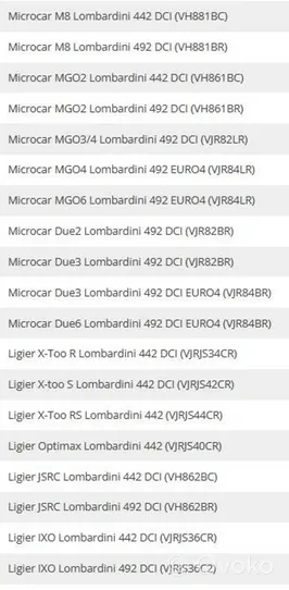 Ligier X-TOO Generatoriaus diržas 2440305