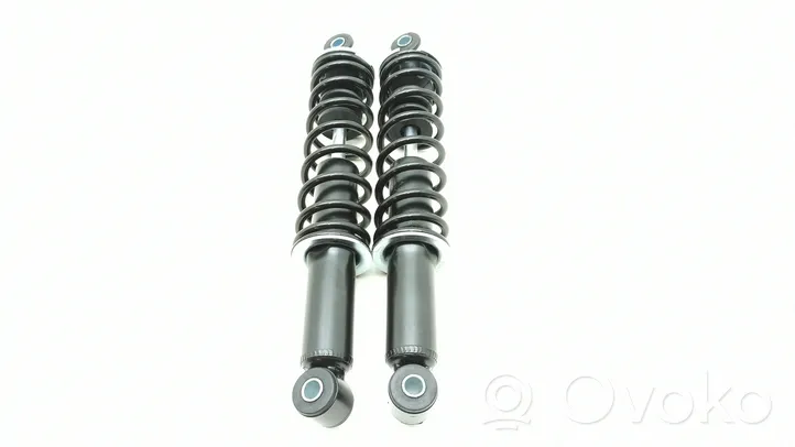 Ligier IXO Rear shock absorber/damper 0200083