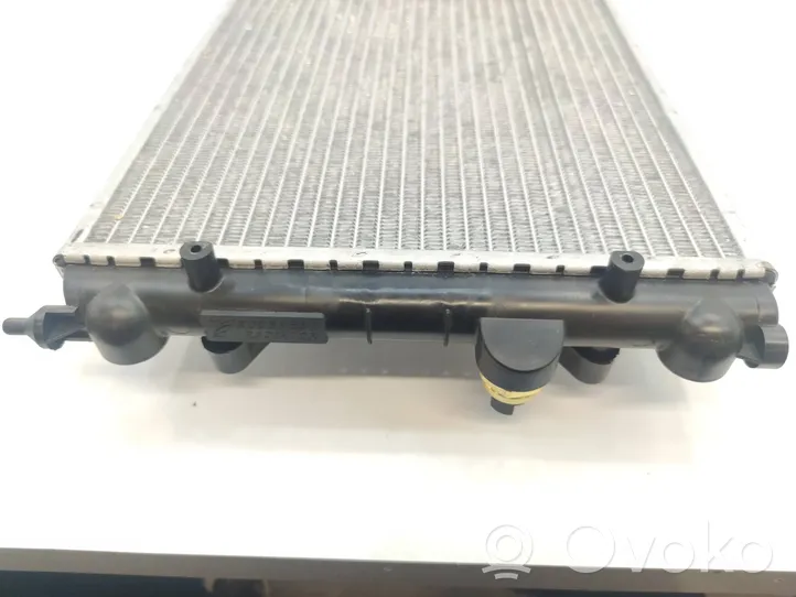 Microcar Due First Set del radiatore 1401878