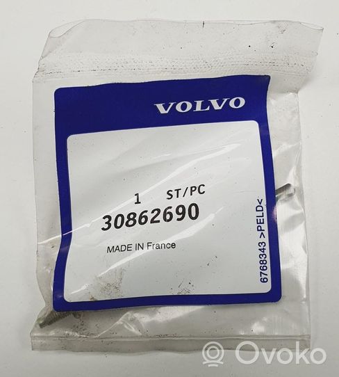 Volvo S40 Spark plug 30862690