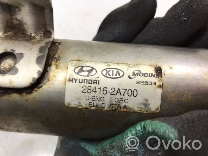 KIA Ceed EGR-venttiili/lauhdutin 284162a700