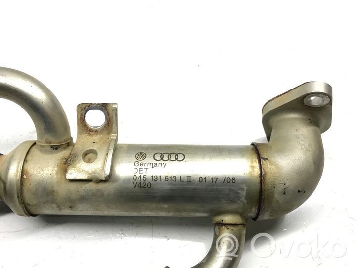 Volkswagen Polo IV 9N3 Valvola di raffreddamento EGR 045131513L