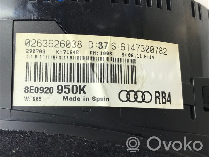 Audi A4 S4 B6 8E 8H Užvedimo komplektas 8E1910018A