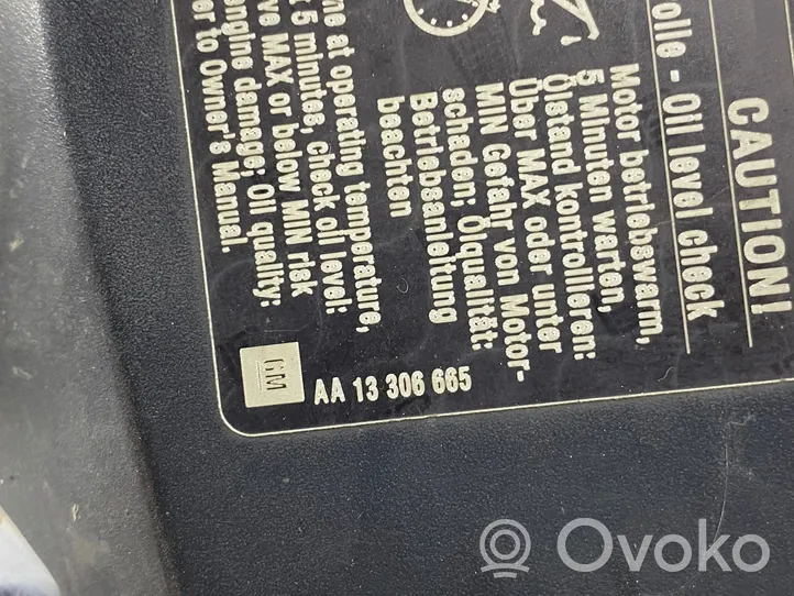 Opel Astra H Maskownica / Grill / Atrapa górna chłodnicy 13306665