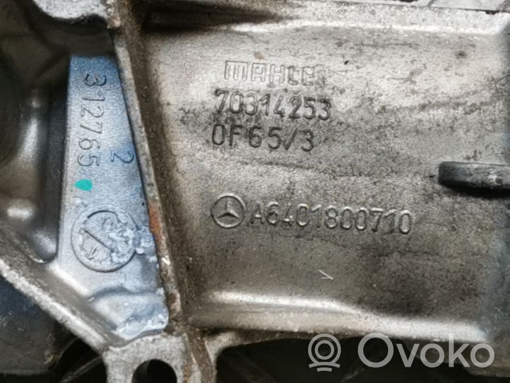 Mercedes-Benz B W245 Coperchio del filtro dell’olio 6401800710