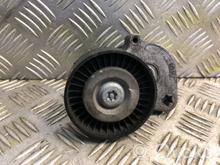 Mercedes-Benz C W203 Napinacz paska alternatora 950138