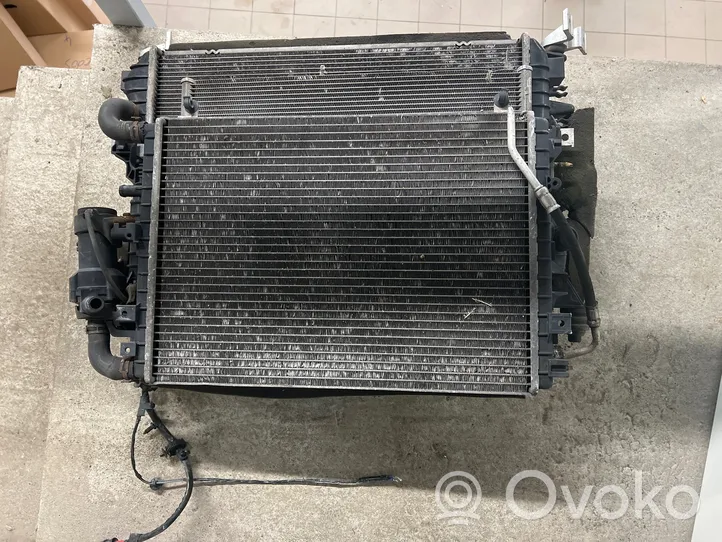 Jaguar F-Type Kit Radiateur EX5319710AA