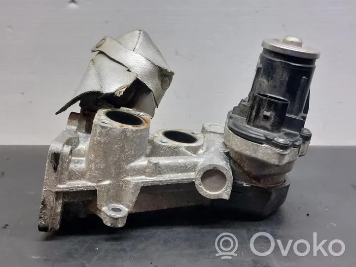 Volkswagen Polo V 6R EGR valve 
