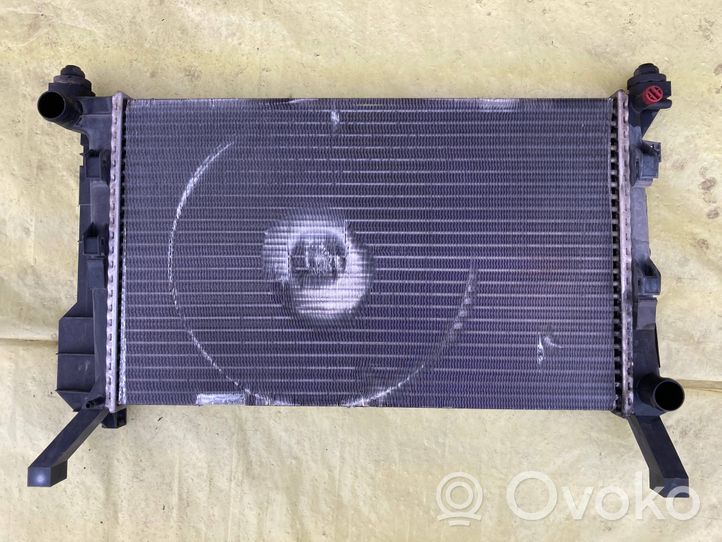 Mercedes-Benz A W169 Coolant radiator A1695000303