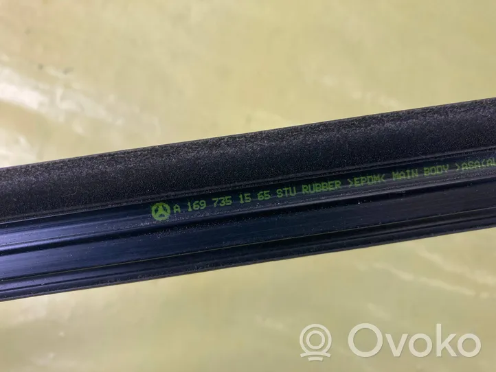 Mercedes-Benz B W245 Rear door glass trim molding A1697351565