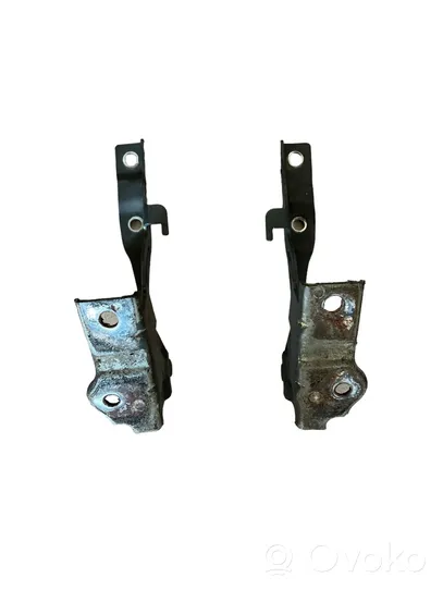 Hyundai Santa Fe Engine bonnet/hood hinges 