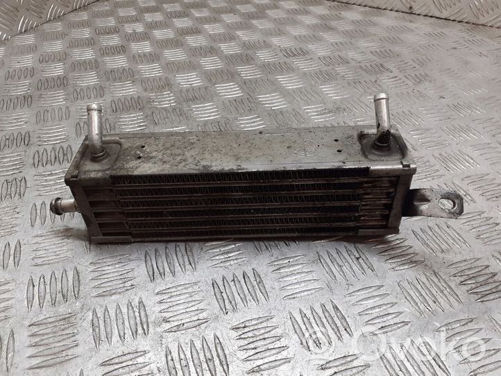 Fiat Punto (188) Dzinēja eļļas radiators B982