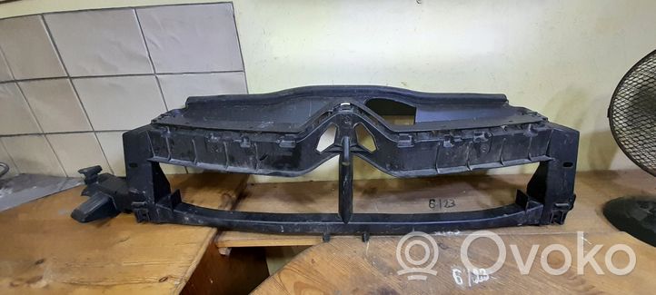 Citroen C4 II Maskownica / Grill / Atrapa górna chłodnicy 