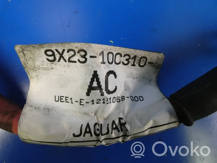 Jaguar XJ X351 Cable positivo (batería) 12131068000