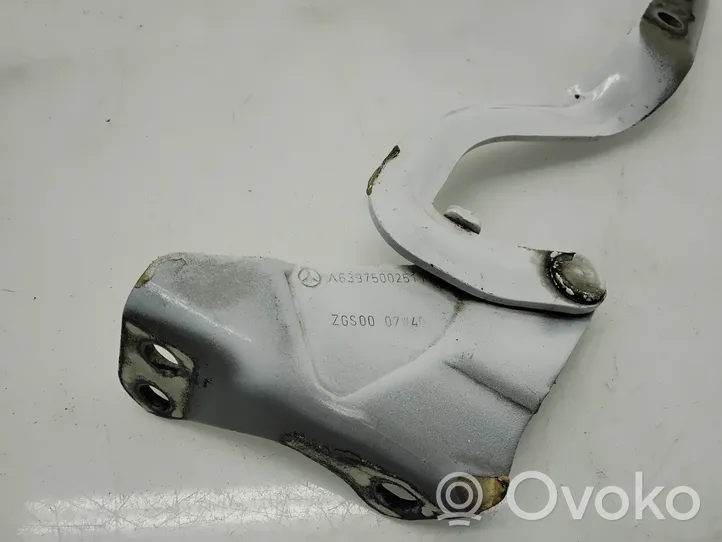 Mercedes-Benz Vito Viano W639 Cerniere del vano motore/cofano A6397500251