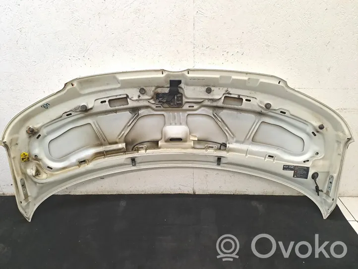 Volkswagen Transporter - Caravelle T5 Engine bonnet/hood 