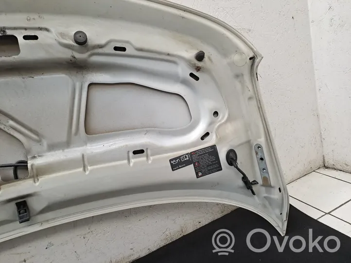 Volkswagen Transporter - Caravelle T5 Engine bonnet/hood 