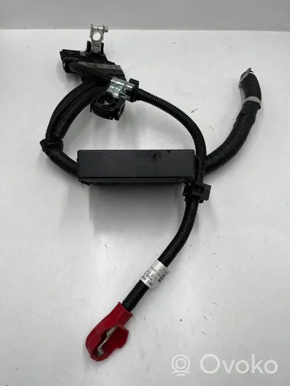 Nissan Leaf II (ZE1) Cable positivo (batería) 241053L0A