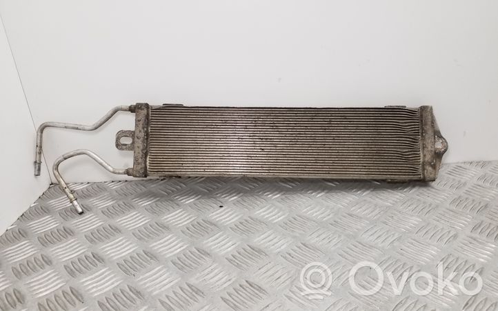 Volkswagen Polo Radiatore del carburatore (radiatore) 6Q0201995B