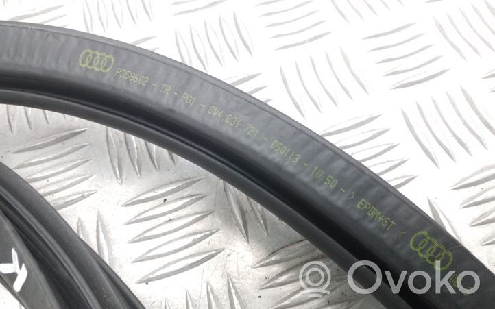 Audi A3 S3 8V Front door rubber seal 8V4831721