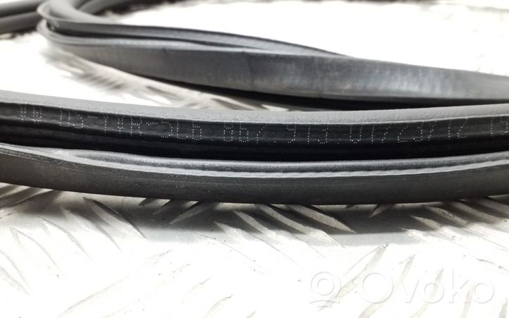 Volkswagen Jetta VI Rear door rubber seal (on body) 5C6867913