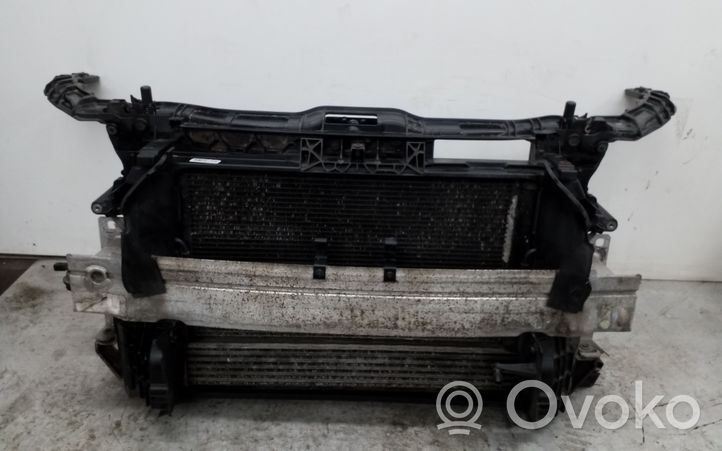 Audi A1 Radiatorių panelė (televizorius) 6R01212530