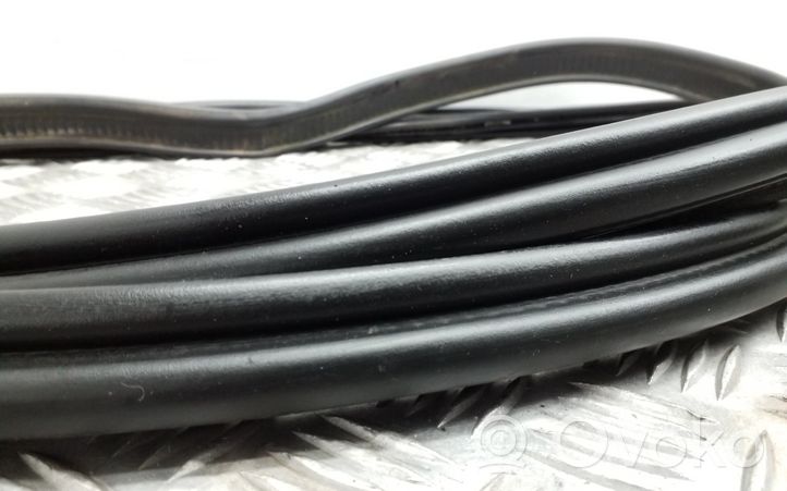 Audi A5 8T 8F Trunk rubber seal (body) 