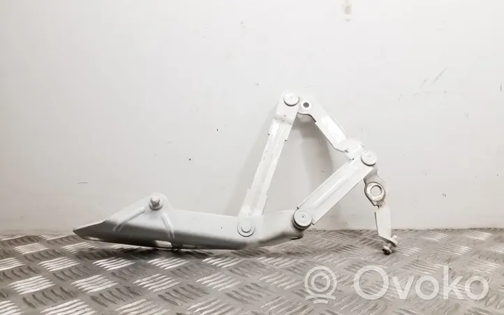 Audi TT TTS Mk2 Engine bonnet/hood hinges 8J0823302H