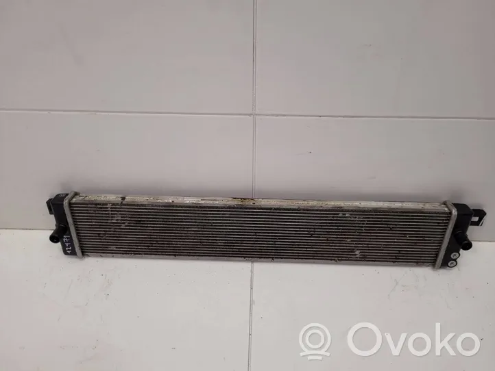 Toyota RAV 4 (XA50) Radiateur de refroidissement 