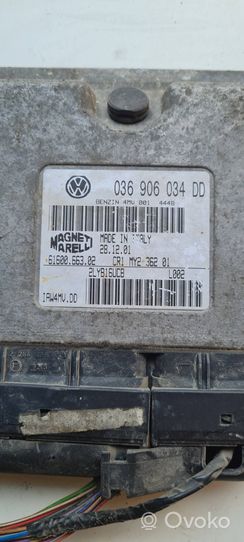 Volkswagen Polo Centralina/modulo del motore 036906034DD