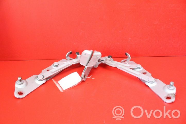 Volvo S80 Cerniera portellone posteriore/bagagliaio 30649457