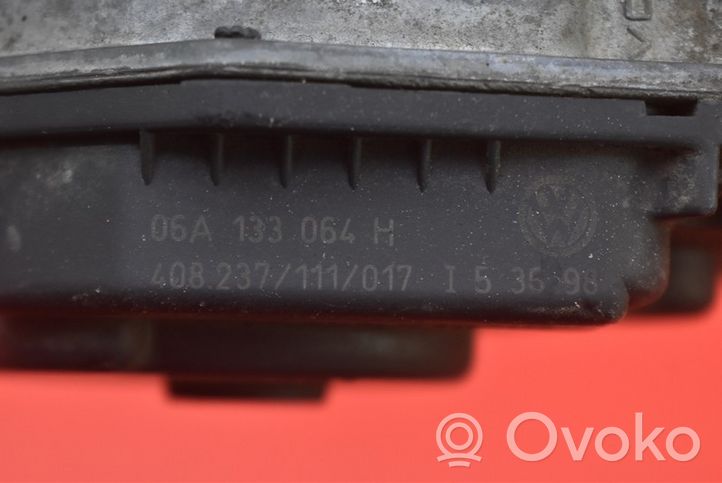 Volkswagen Bora Droselis 06A133064H