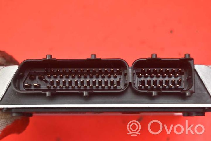 Land Rover Freelander Unité de commande, module ECU de moteur NNW002040