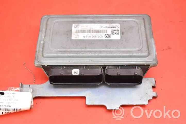 Volkswagen Cross Polo Centralina/modulo motore ECU 03E906019M