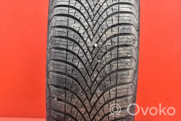 Ford Focus C-MAX R17 C winter tire 