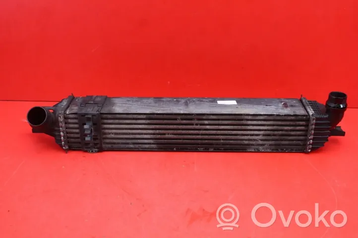 Renault Laguna III Chłodnica powietrza doładowującego / Intercooler RENAULT