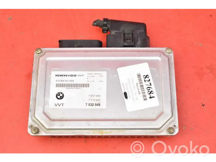 BMW X3 E83 Centralina/modulo motore ECU 7532949