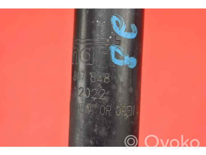 Opel Meriva A Rear shock absorber/damper 807848