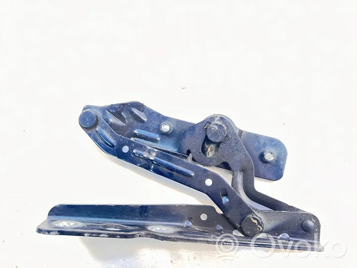 Ford Grand C-MAX Engine bonnet/hood hinges 