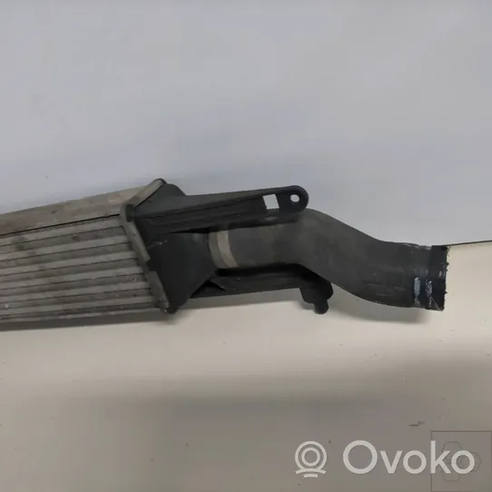 Fiat Grande Punto Chłodnica powietrza doładowującego / Intercooler 55700449