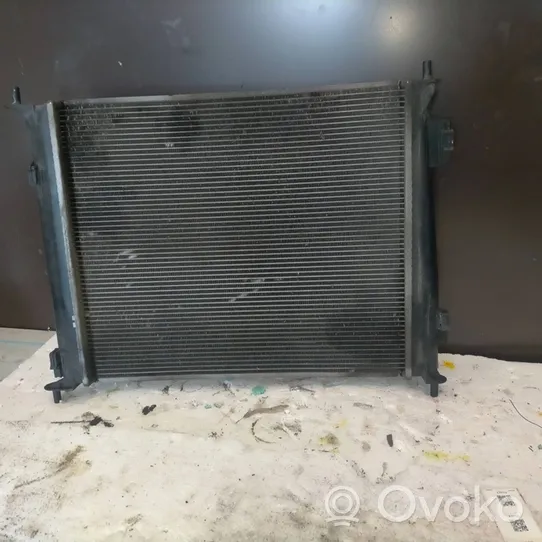 KIA Soul Mazais radiators 253102K000