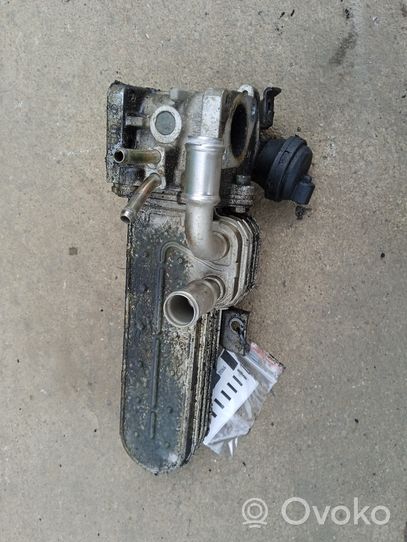 Volkswagen Golf IV EGR valve cooler  038131513D