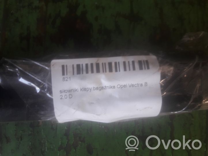 Opel Vectra B Tavaratilan luukun hydrauliikkasarja 