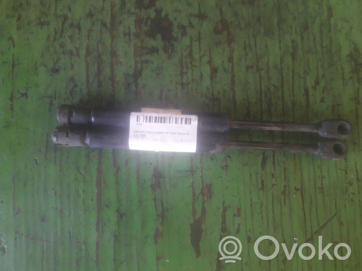 Opel Vectra B Tavaratilan luukun hydrauliikkasarja 