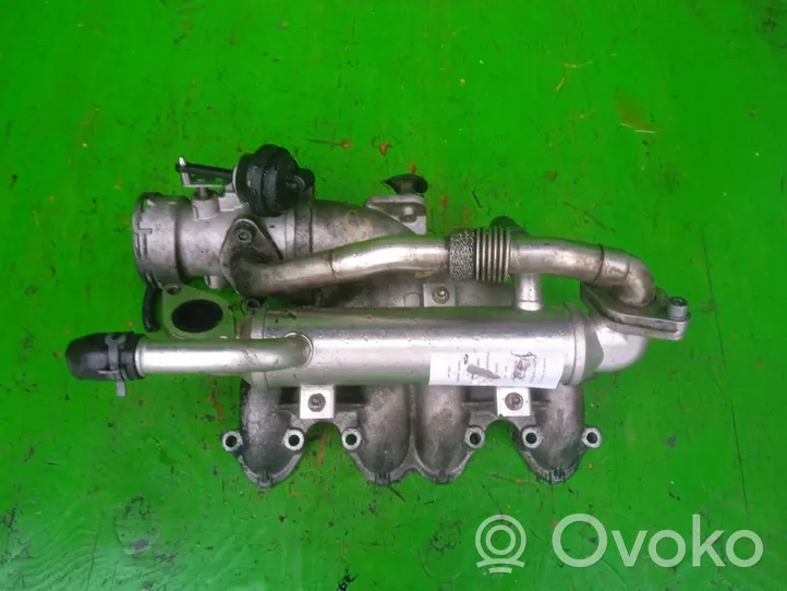 Volkswagen Sharan Intake manifold 