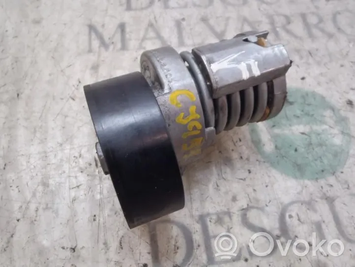 Volkswagen Polo IV 9N3 Tendicinghia generatore/alternatore 