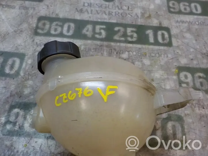 Citroen C3 Pluriel Vaso di espansione carburante 9800777280