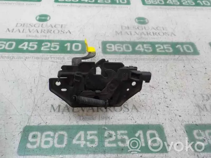 Ford C-MAX II Fissaggio gancio/anello 5159558