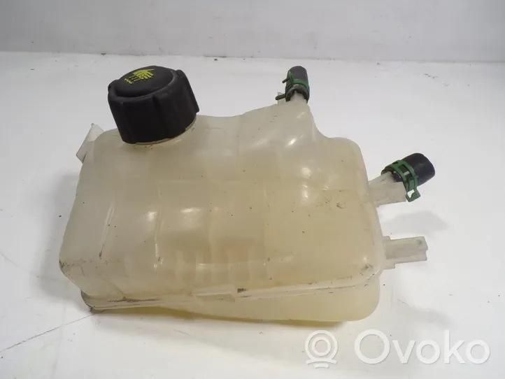 Renault Megane III Vase d'expansion de carburant 