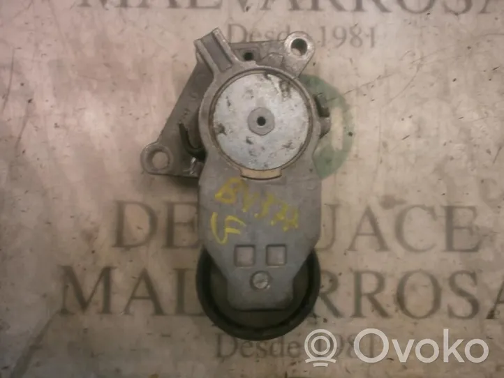 Citroen C3 Pluriel Tendicinghia generatore/alternatore 